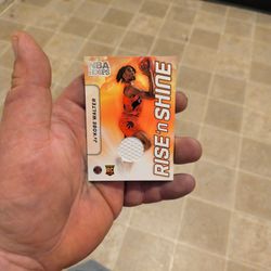 Basketball NBA HOOPS Ja'KOBE WALTER Toronto Raptors Rookie RC Card RISE 'n SHINE