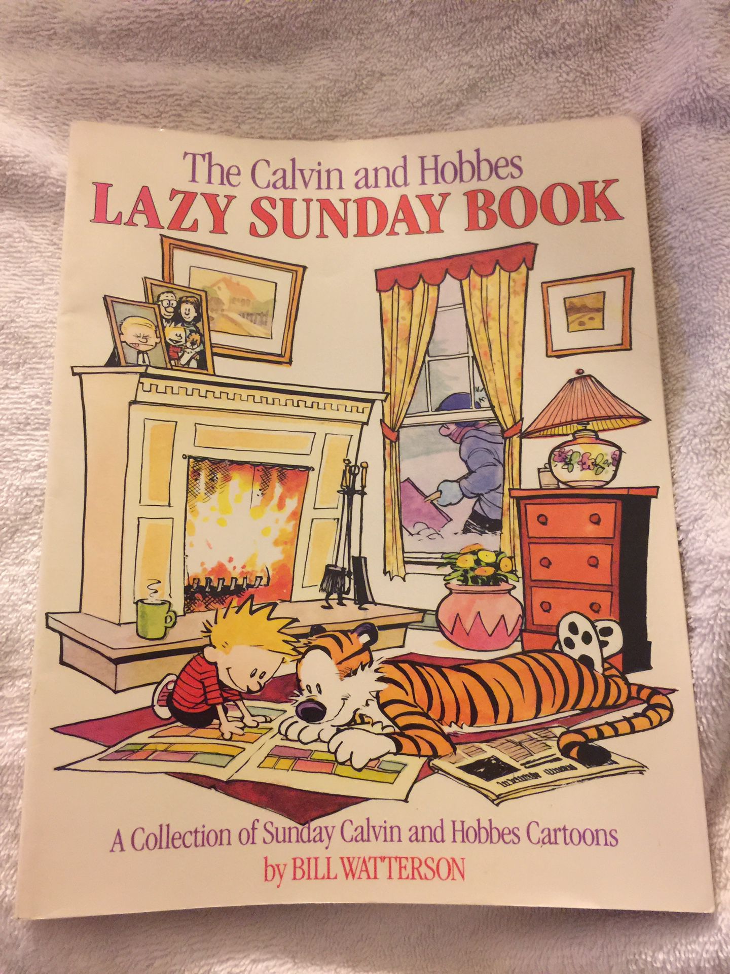 Calvin and Hobbes Lazy Sunday Book