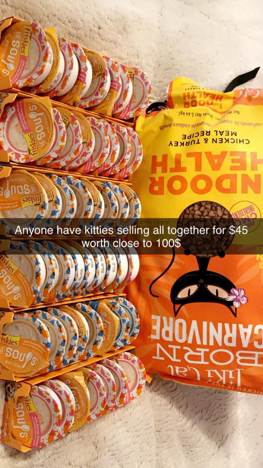 Cat Food