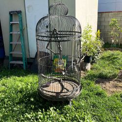 Bird Cage 