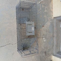 Large Animal Trap