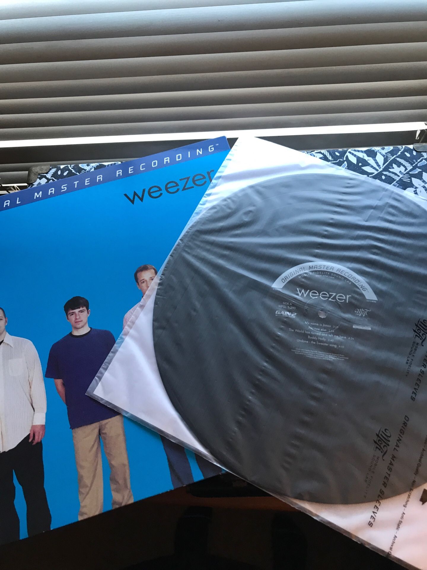 Weezer Blue Album Vinyl