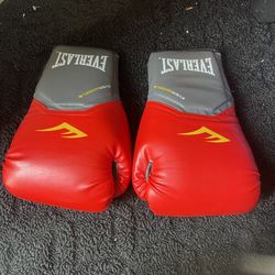 Pro Style Elite EVERLAST Boxing Gloves 14 OUNCES 