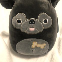 Squishmallow Bongo The Pug NEW w Tags Plush toy