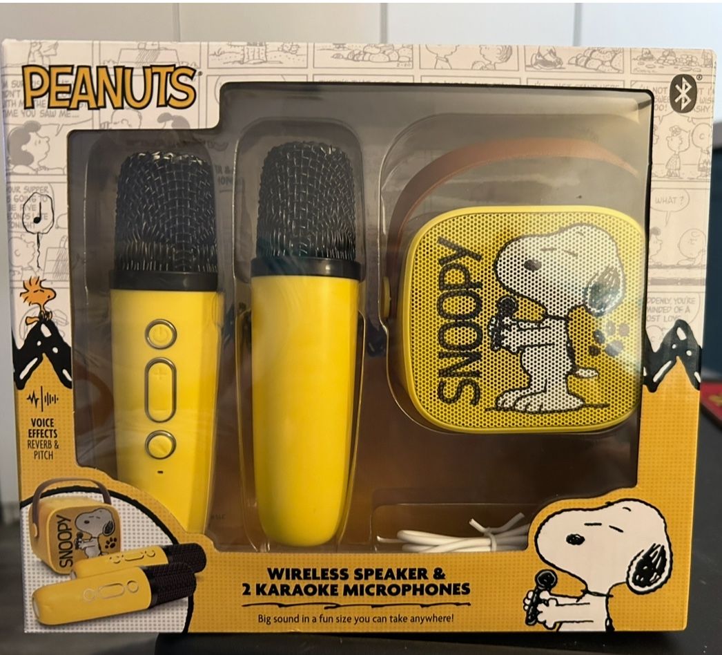 Karaoke Speaker & 2 karaoke microphone 