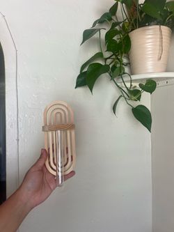 2 plant propagation holders