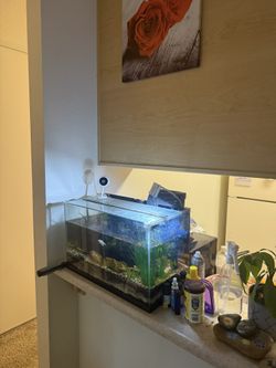 Fish tank. 5 Gallom