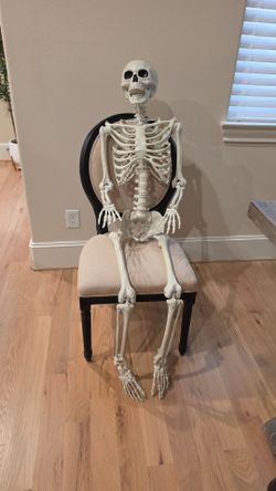 Full Size Human Skeleton Decoration
