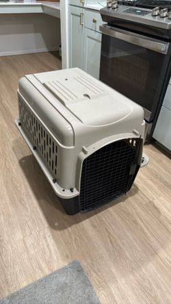 Dog Kennel