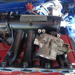 Inteke Manifold Skunk 