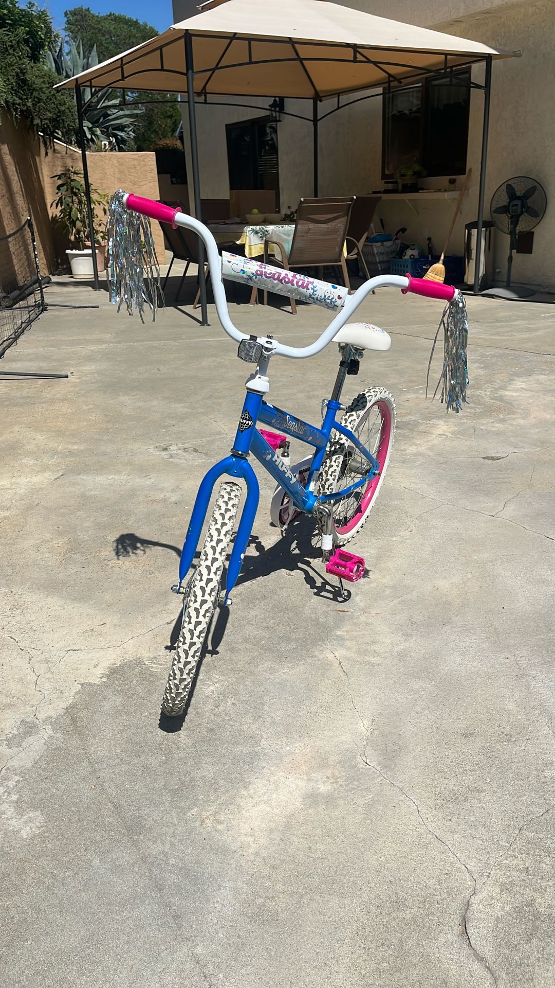 Bicycle Girls Huffy
