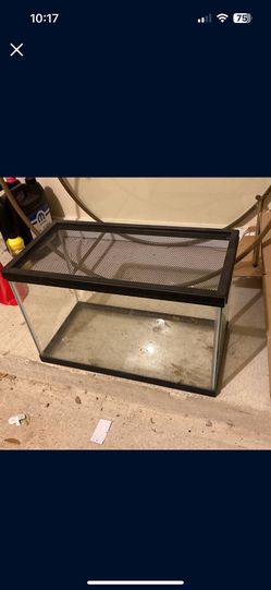 10 Gallon Tank