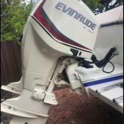 30’ Proline Twin 250 Envinrude