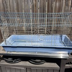 Bird Cage Blue 
