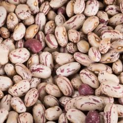 Dried Cranberry Beans 2 Pounds $7 Buy More Save More