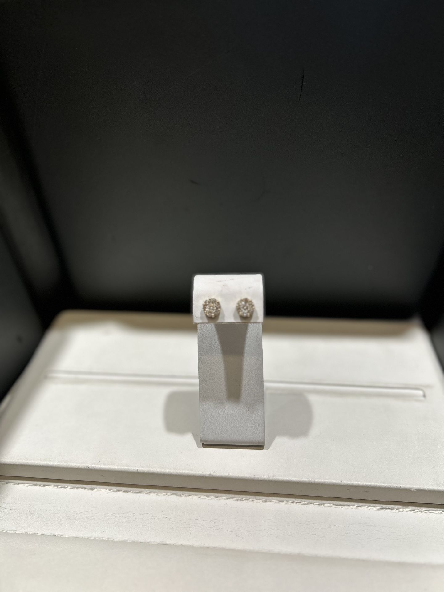 10K Diamond Earring Stud (Screw Back)