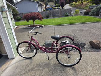 Schwin tricycle