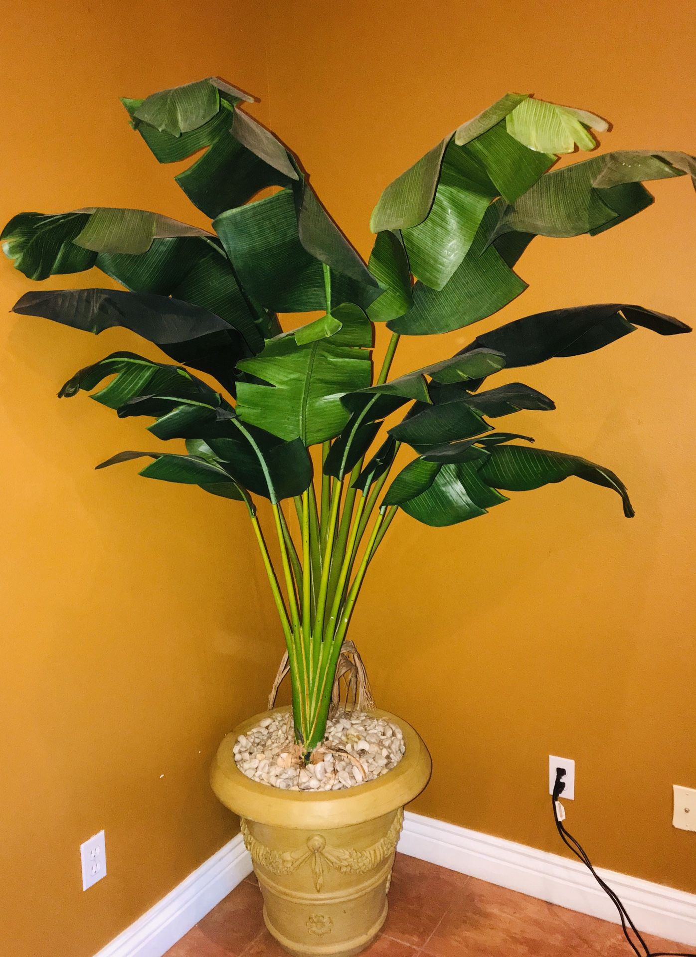 Decor plant