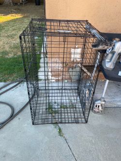 Animal cage
