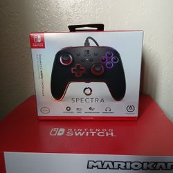 Nintendo Switch Controller