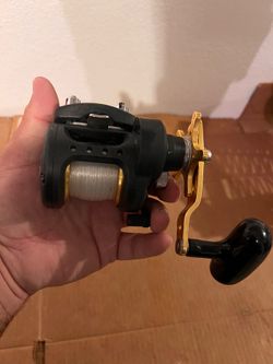 Daiwa saltist 20 bg