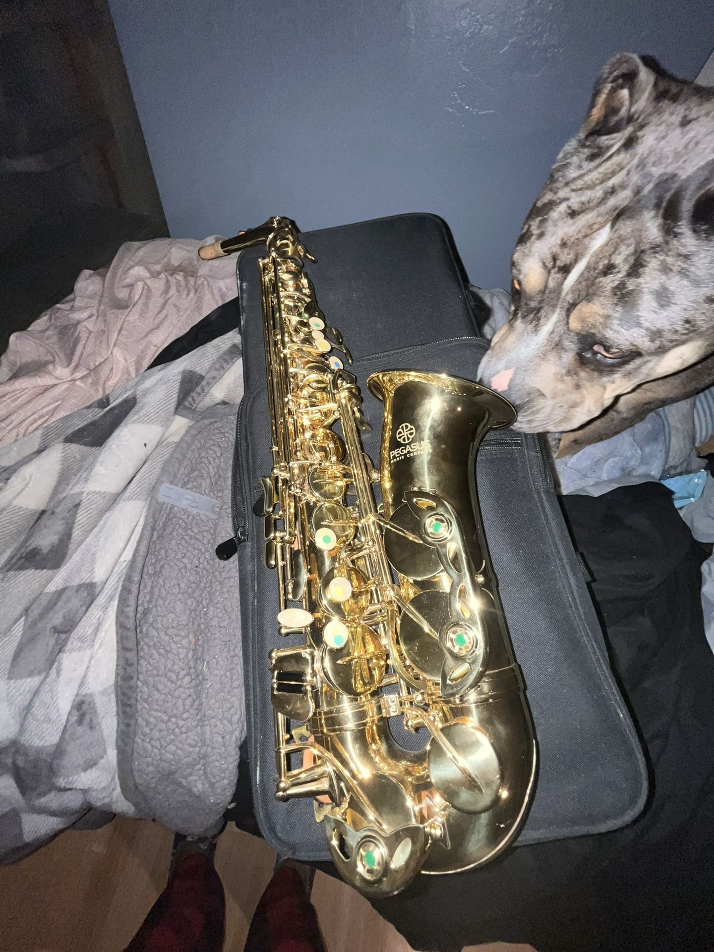 Pegasus Saxophone(Brand New)