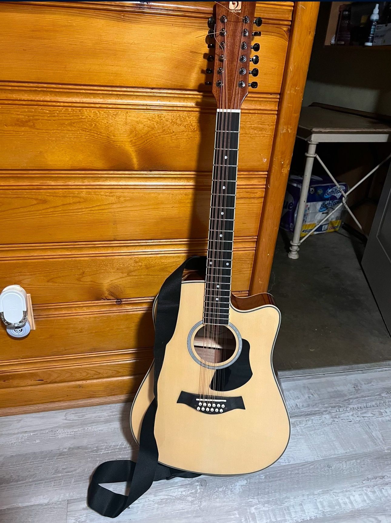 12 String Guitar
