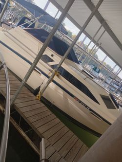 1985 Bayliner Contessa