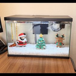 Betta Fish Starter Kit Tank