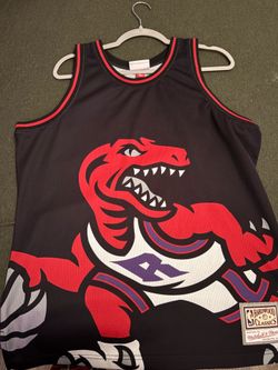 Vintage raptors jersey