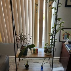 Plant Stand Laundry Stand