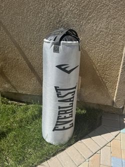 Everlast Punching Bag