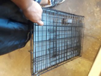 Animal cages medium an small