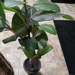 Faux Plant With Basket