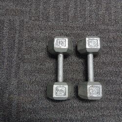 Dumb Bell Weights 20 Pounds Ea