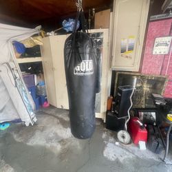Heavy weight punching bag