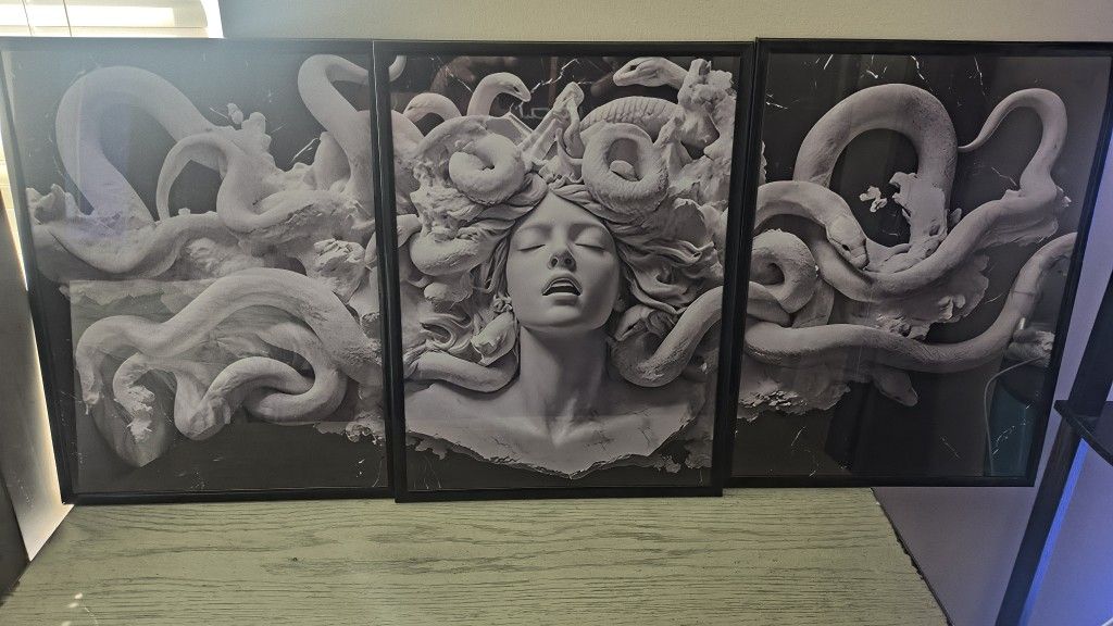 Medusa 3 PC Framed 12x16 Picture Set On Canvas