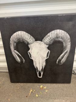 Black and white skull portrait