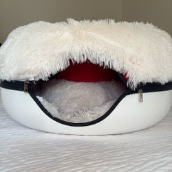 Cat Cave-Cattasaurus