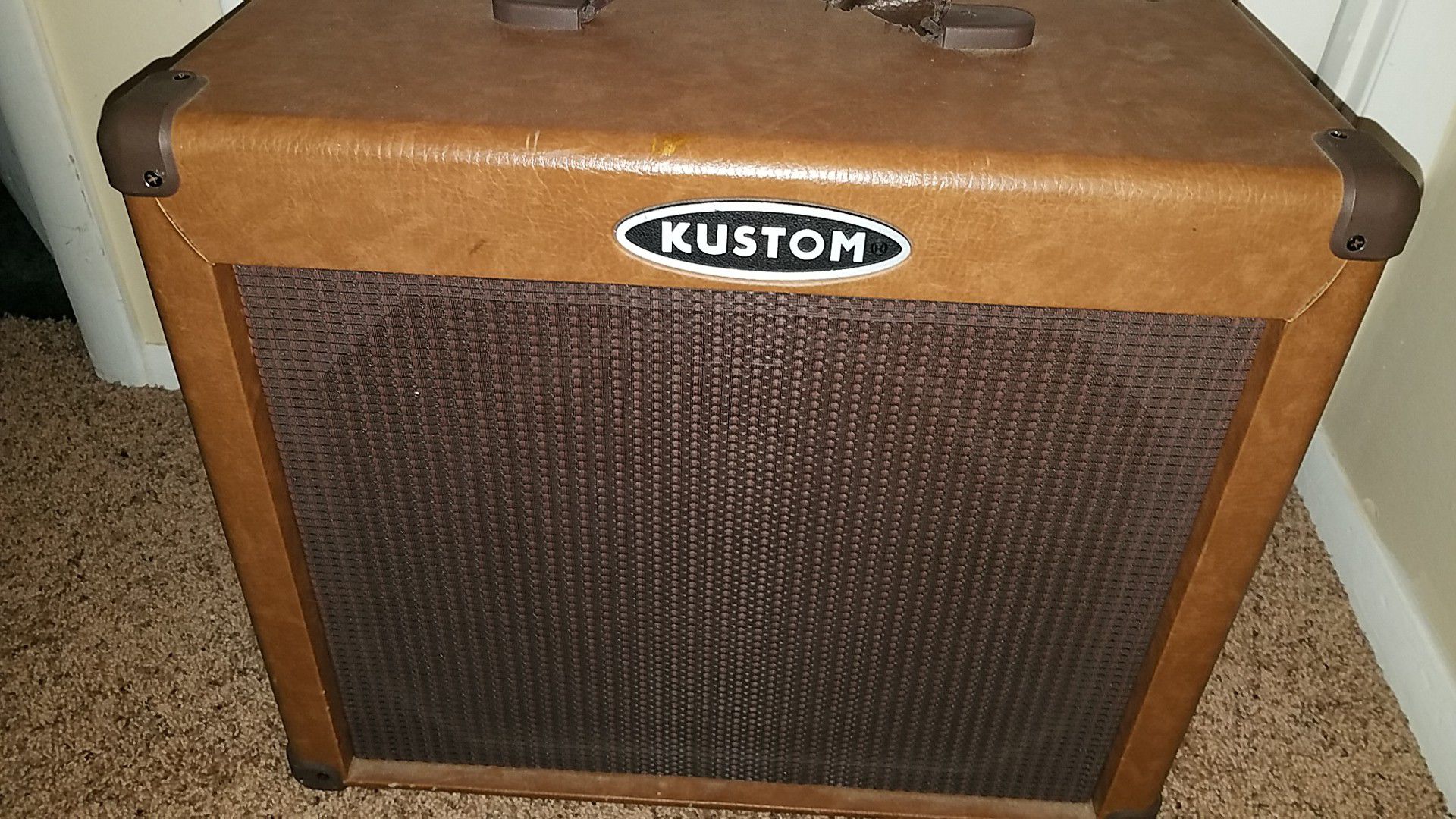 Custom acoustic guitar amplifier