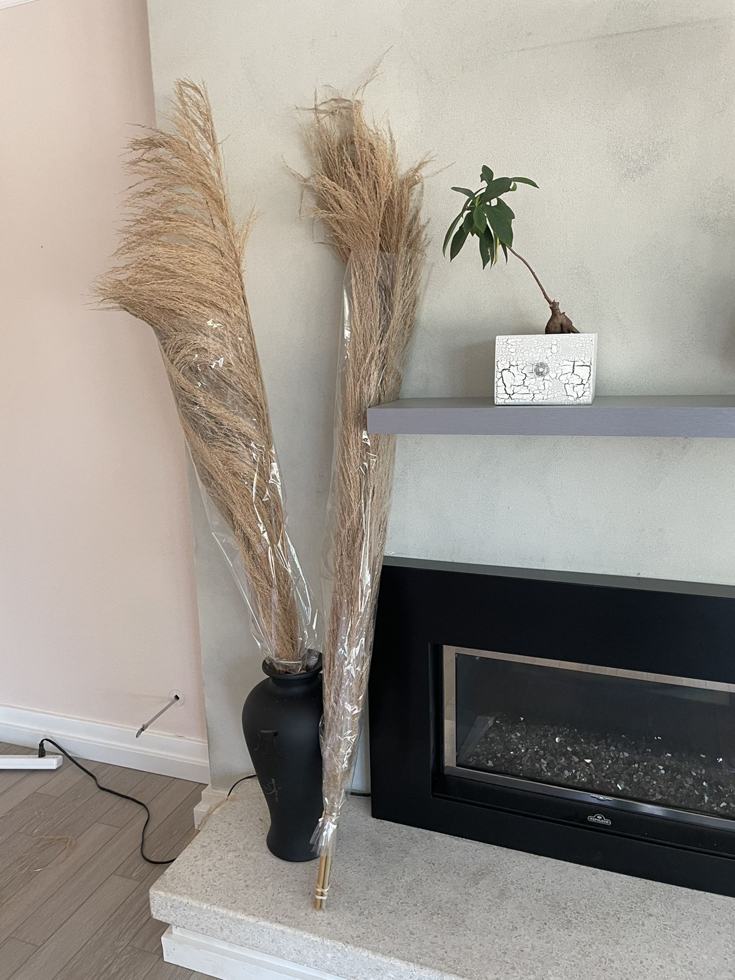 Pompous grass