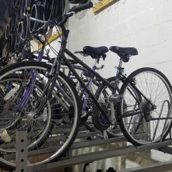 Specialized Crossroads Bike