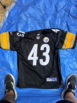 Steelers troy polamalu jersey