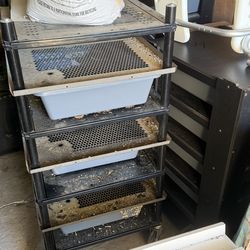 Reptile racks tanks etc