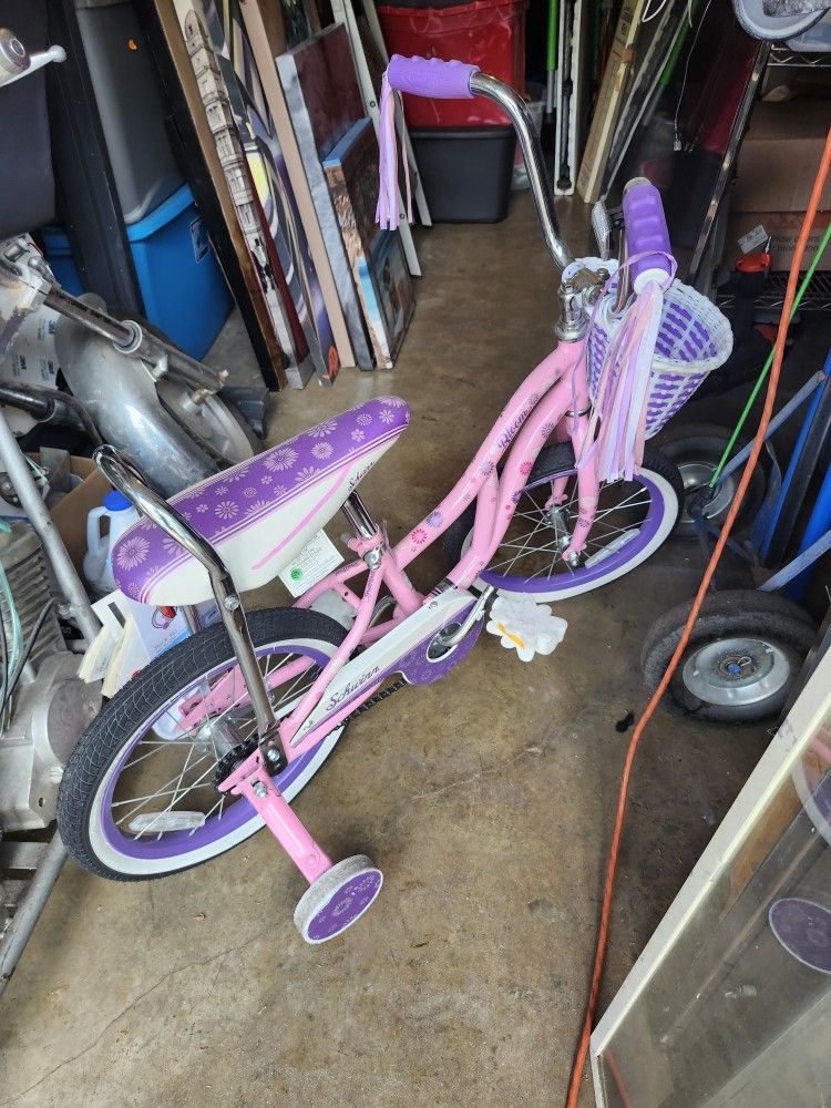Schwinn Bicycle