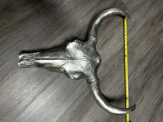 Composite Cow Skull Wall Hanging