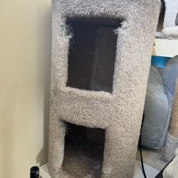 Cat Scratcher Tree