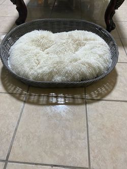 Pet bed with cushion