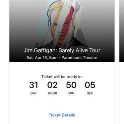 Jim Gaffigan barely alive tour