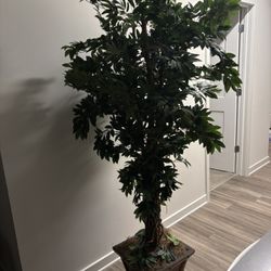 Fake Plant 